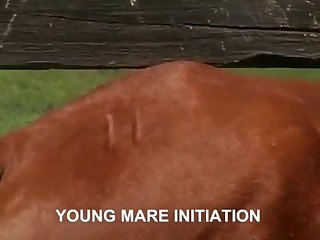 For A Long Time Now She Had Been An Avid Horsewoman