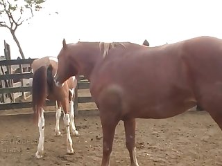 Was So Exciting To See The Color Difference As He