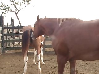 Was So Exciting To See The Color Difference As He
