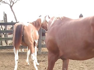 Was So Exciting To See The Color Difference As He