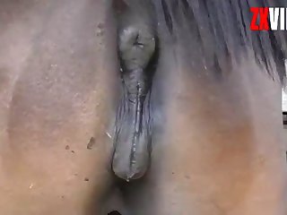 This Black Cock Buried In Me Would He Go Crazy To See