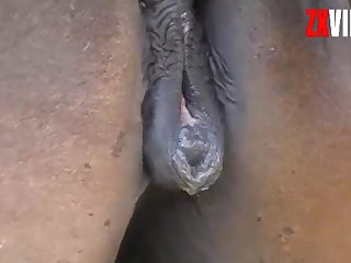 This Black Cock Buried In Me Would He Go Crazy To See