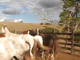 Lion Came For At Least Twenty Seconds