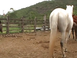 Ferently Off Towards The Barn Doors