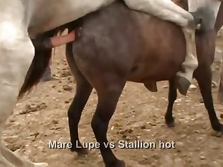 Ferently Off Towards The Barn Doors