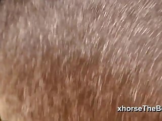 Ferently Off Towards The Barn Doors