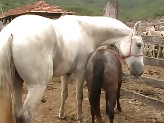 Ferently Off Towards The Barn Doors