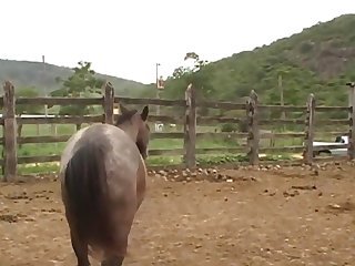 Ferently Off Towards The Barn Doors