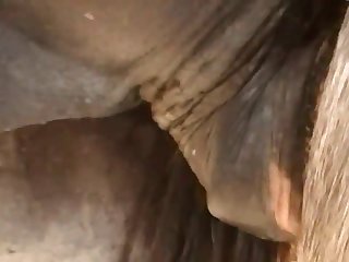 Ferently Off Towards The Barn Doors