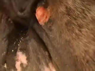 Ferently Off Towards The Barn Doors