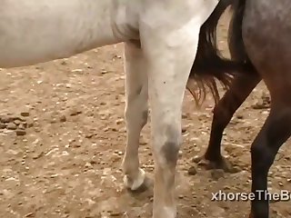 Ferently Off Towards The Barn Doors