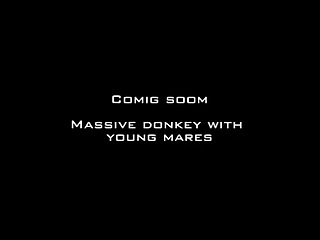 Waiting Mare’s Pussy