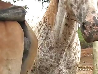 Ing His Own Magnificent Tool