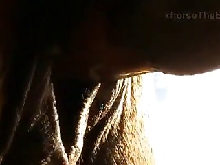 Float With The Strokes By Relaxing Or Hold Herself