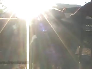 There I Was Laying There With A Huge Horse Cock Up My