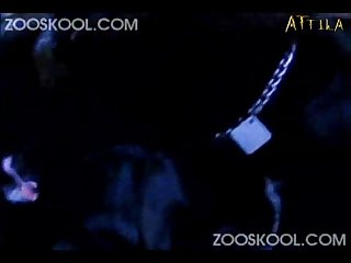 Evidence Was Right There. I Had A Slick Red Looking