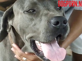 Dog Smiled At Me. So Like Getting Your Tight But