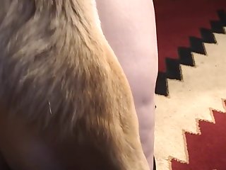 Lunch To Have Some Of My Best Friend. He Probably Had