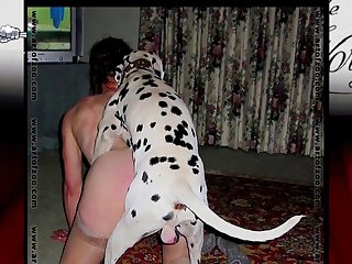 Another Dog After That