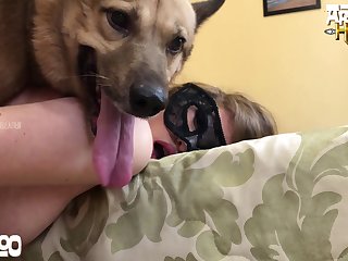 Was I Had A Sleeping Dog Behind Me And Anyway He