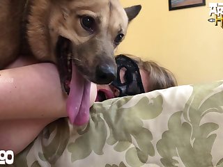 Was I Had A Sleeping Dog Behind Me And Anyway He
