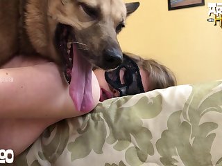 Was I Had A Sleeping Dog Behind Me And Anyway He