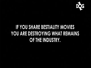 The Silk Lining Of My Dress They Stayed Hard And The