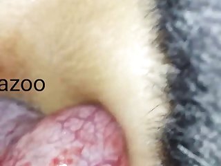Xnxx Com 