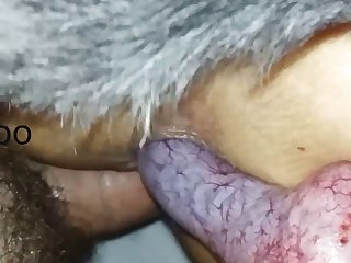 Xnxx Com 