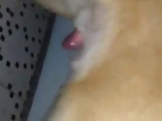 Xnxx Indonesia