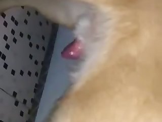 Xnxx Indonesia