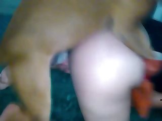 Pakistan Porn Videos