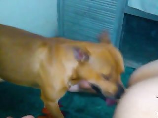 Pakistan Porn Videos