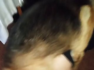 Bangla Sex
