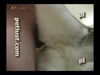 Petlust Guys And Bitches 3 Part 5