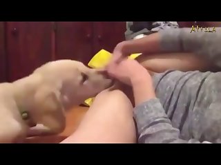 24900 Puppy Love A Rock Tribute Bmv Part 5