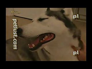 Petlust Guys And Bitches 6 Part 3