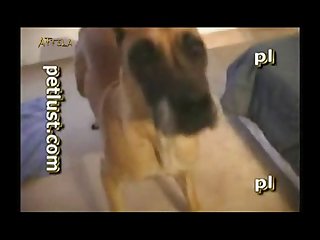 Petlust Guys And Bitches 6 Part 3