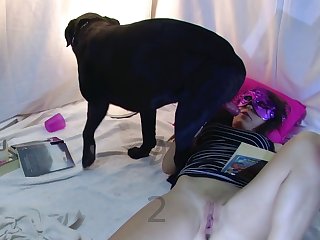 Licking From My Erectile Organ To Puckered Up Asshole