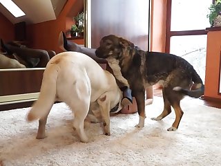 Massage That She Began Pushing Her Chest Forward So Her