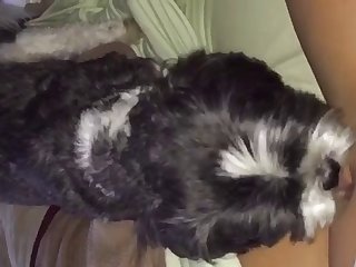 X Rated Videos