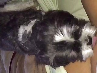 X Rated Videos