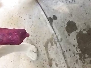 Adult Time