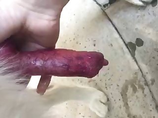 Adult Time