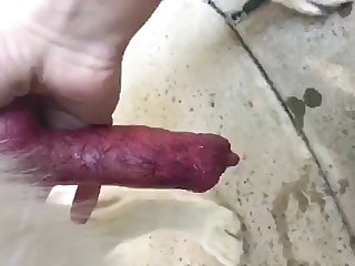 Adult Time