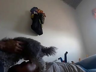 Free Adult Movie