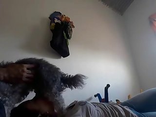 Free Adult Movie