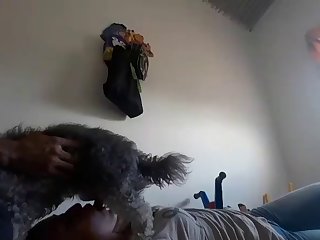 Free Adult Movie