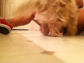 Video Por