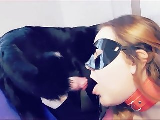 Zoobestxxx